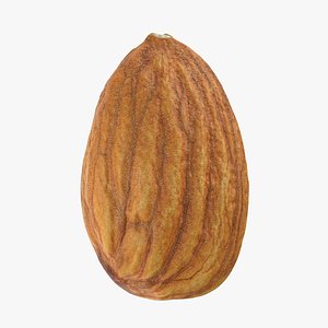 Almond Nut 01
