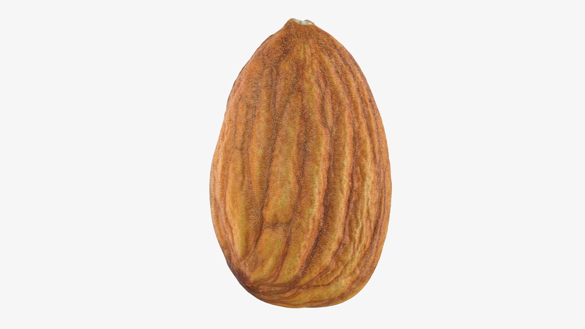 Almond Nut 01 3D https://p.turbosquid.com/ts-thumb/1h/2fkJrt/E3/almond01/png/1759039291/1920x1080/turn_fit_q99/464f11b727352b3360585c28ac0364498ca690c5/almond01-1.jpg