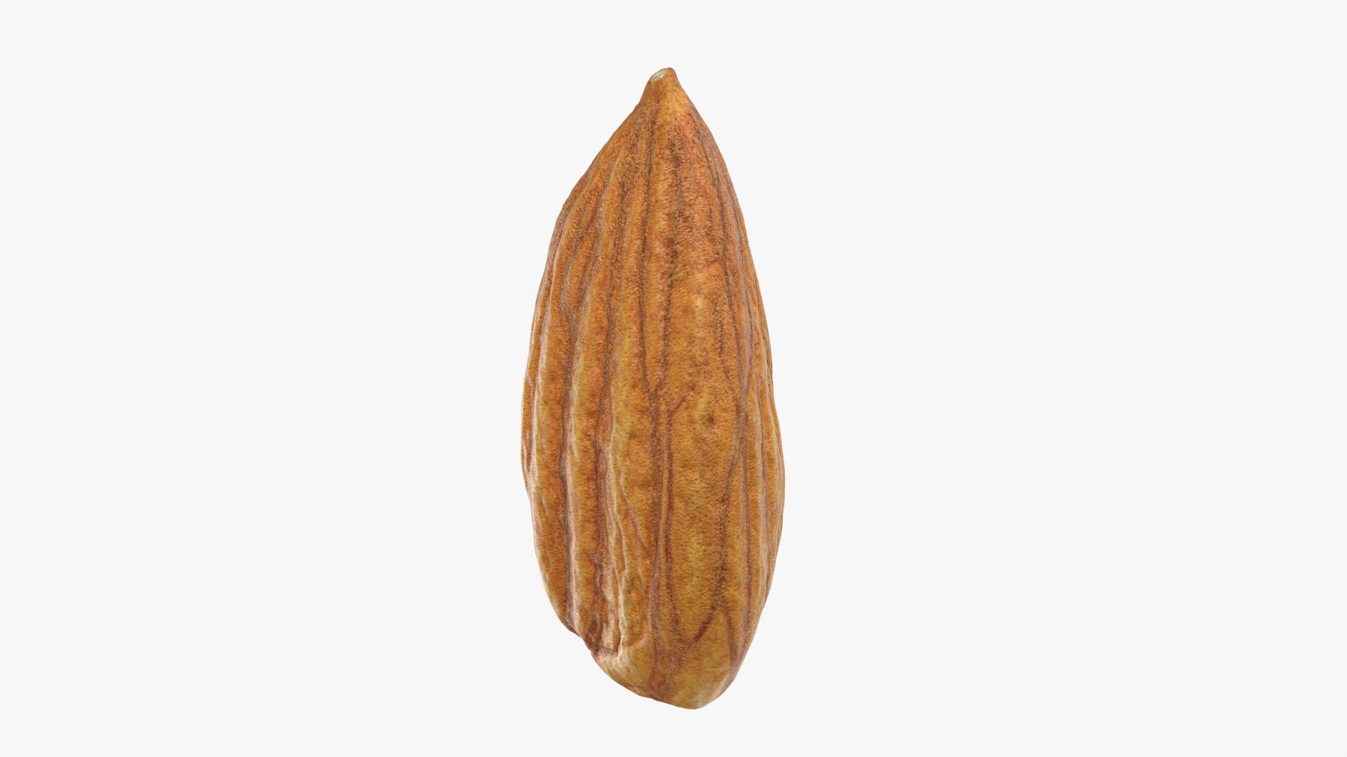 Almond Nut 01 3D https://p.turbosquid.com/ts-thumb/1h/2fkJrt/FY/almond01_0004/png/1758787183/1920x1080/fit_q87/ef3b45d5627dfc2f80eff9cab2936d4ff6aff559/almond01_0004.jpg
