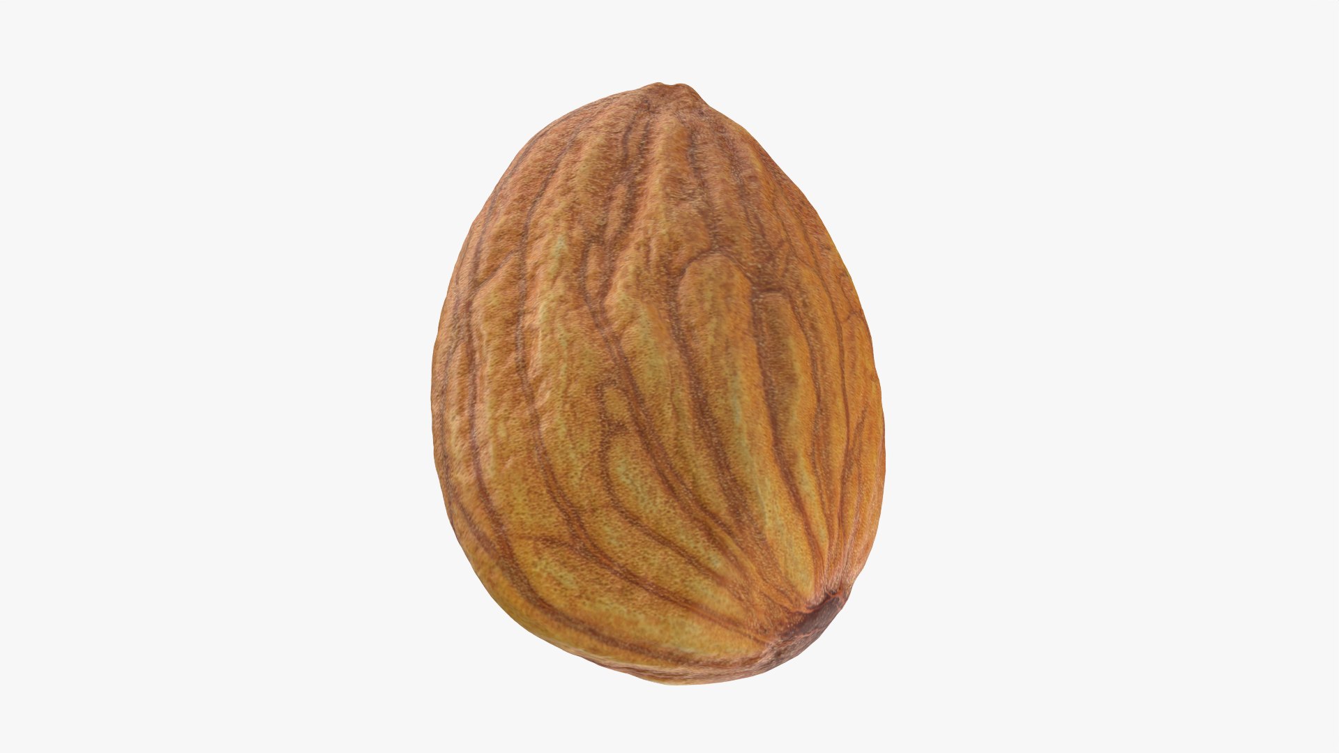 Almond Nut 01 3D https://p.turbosquid.com/ts-thumb/1h/2fkJrt/M5/almond01_0012/png/1758787196/1920x1080/fit_q87/7f272dc78cff33e9d95d7694ecb8f615f70f09f0/almond01_0012.jpg