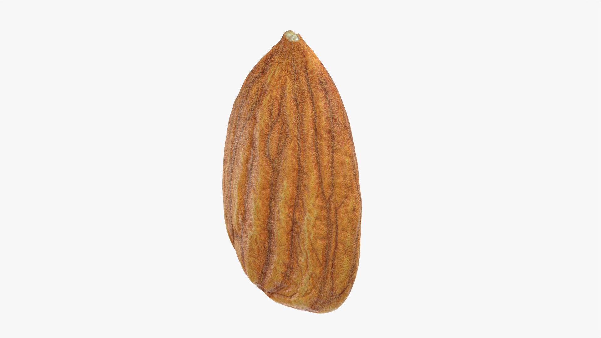 Almond Nut 01 3D https://p.turbosquid.com/ts-thumb/1h/2fkJrt/TM/almond01_0002/png/1758787180/1920x1080/fit_q87/a6a8f54edea35699e4875e903a492d0c67f80571/almond01_0002.jpg