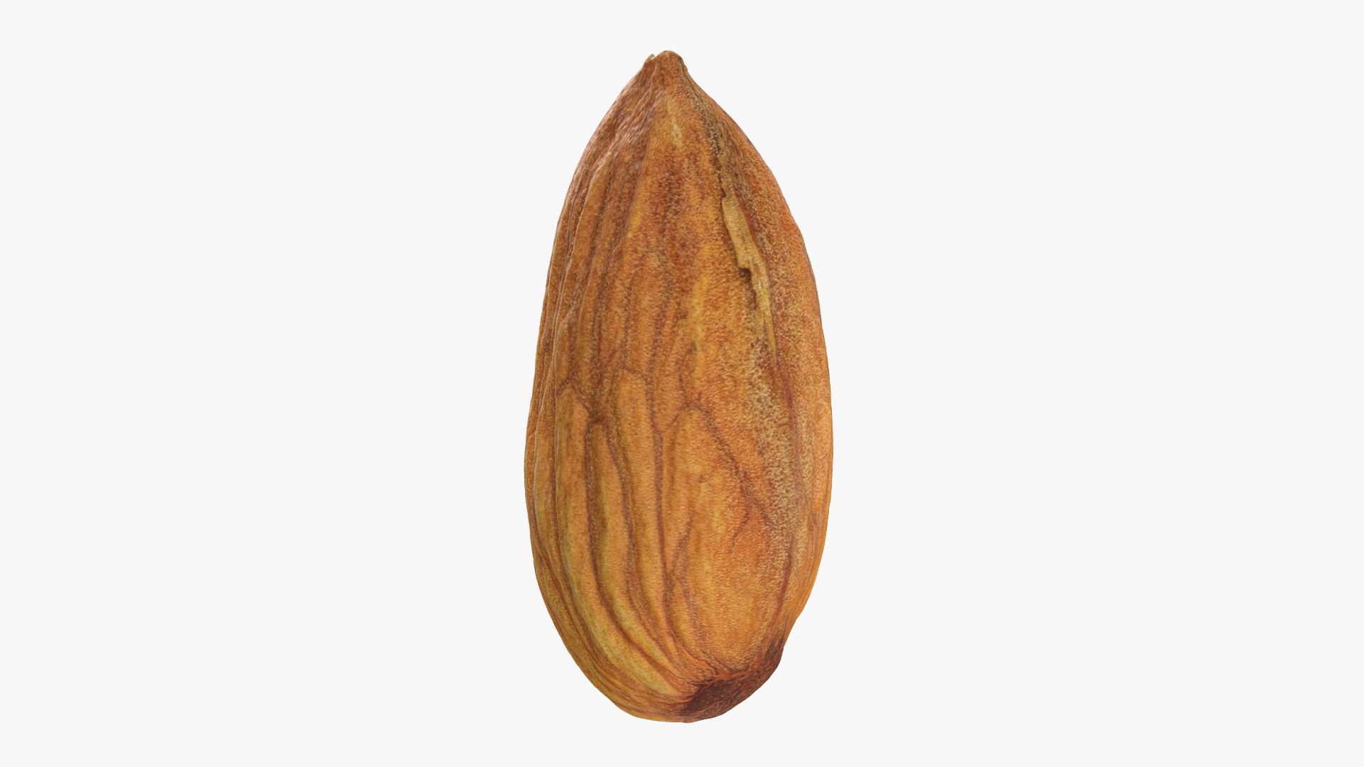Almond Nut 01 3D https://p.turbosquid.com/ts-thumb/1h/2fkJrt/ag/almond01_0011/png/1758787193/1920x1080/fit_q87/e5ca5886e294b67cecaa034a323b382a2c15806b/almond01_0011.jpg