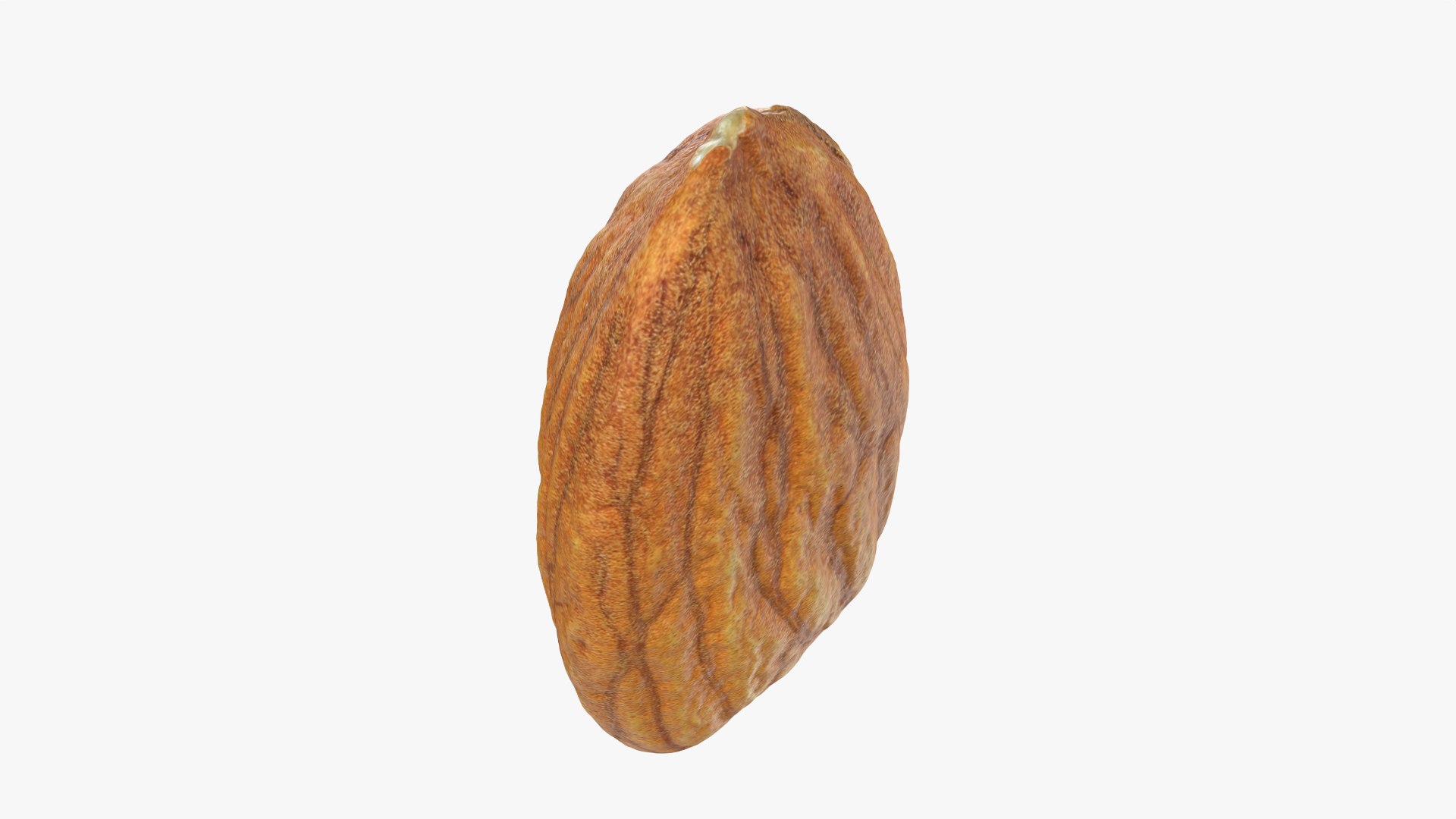 Almond Nut 01 3D https://p.turbosquid.com/ts-thumb/1h/2fkJrt/bL/almond01_0009/png/1758787190/1920x1080/fit_q87/5c8eac0cb2f15e607ff5bd0b7076838073593c34/almond01_0009.jpg