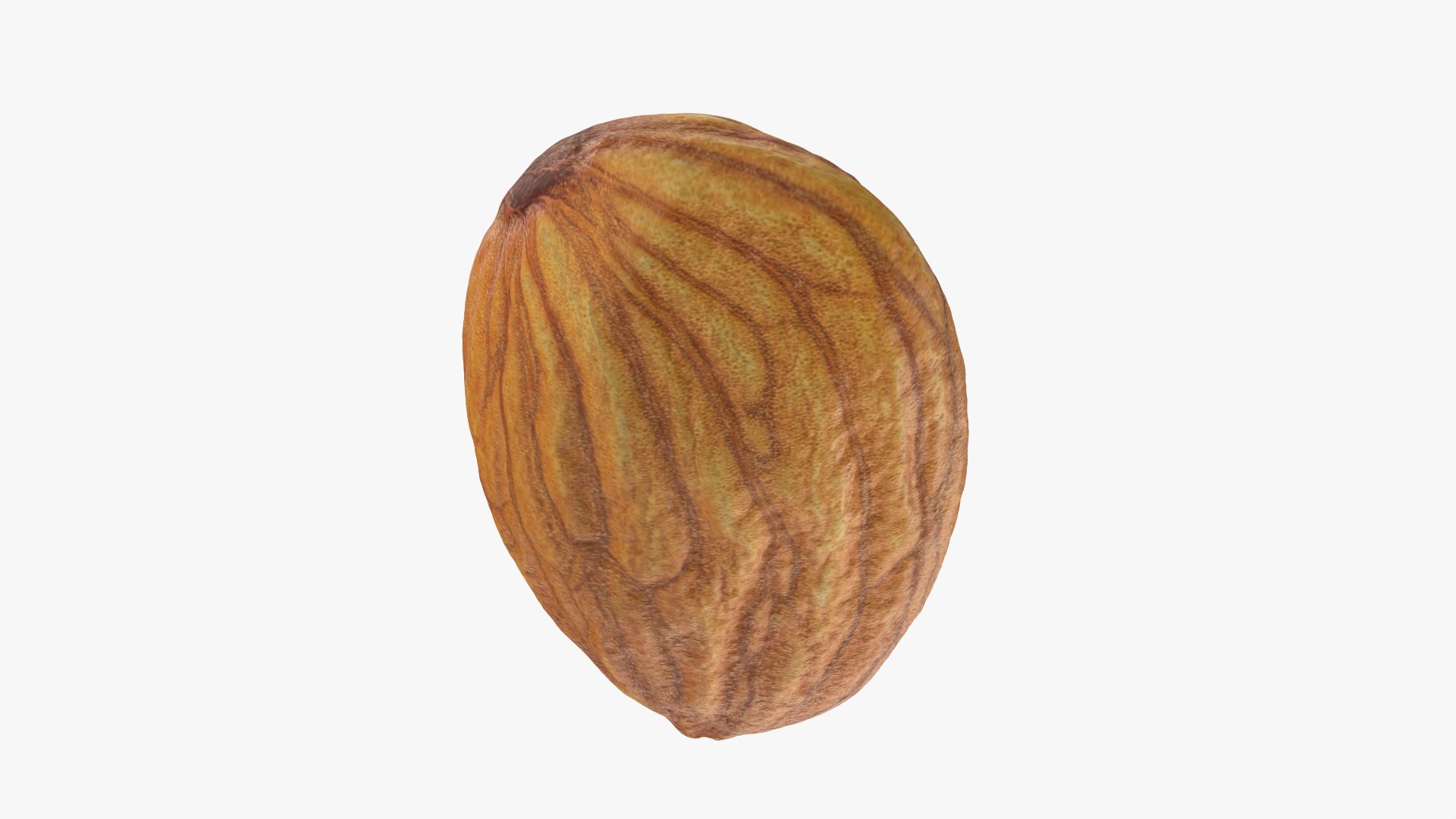 Almond Nut 01 3D https://p.turbosquid.com/ts-thumb/1h/2fkJrt/eS/almond01_0006/png/1758787185/1920x1080/fit_q87/7a03218b48028bb672371bea83141287a7a0671a/almond01_0006.jpg