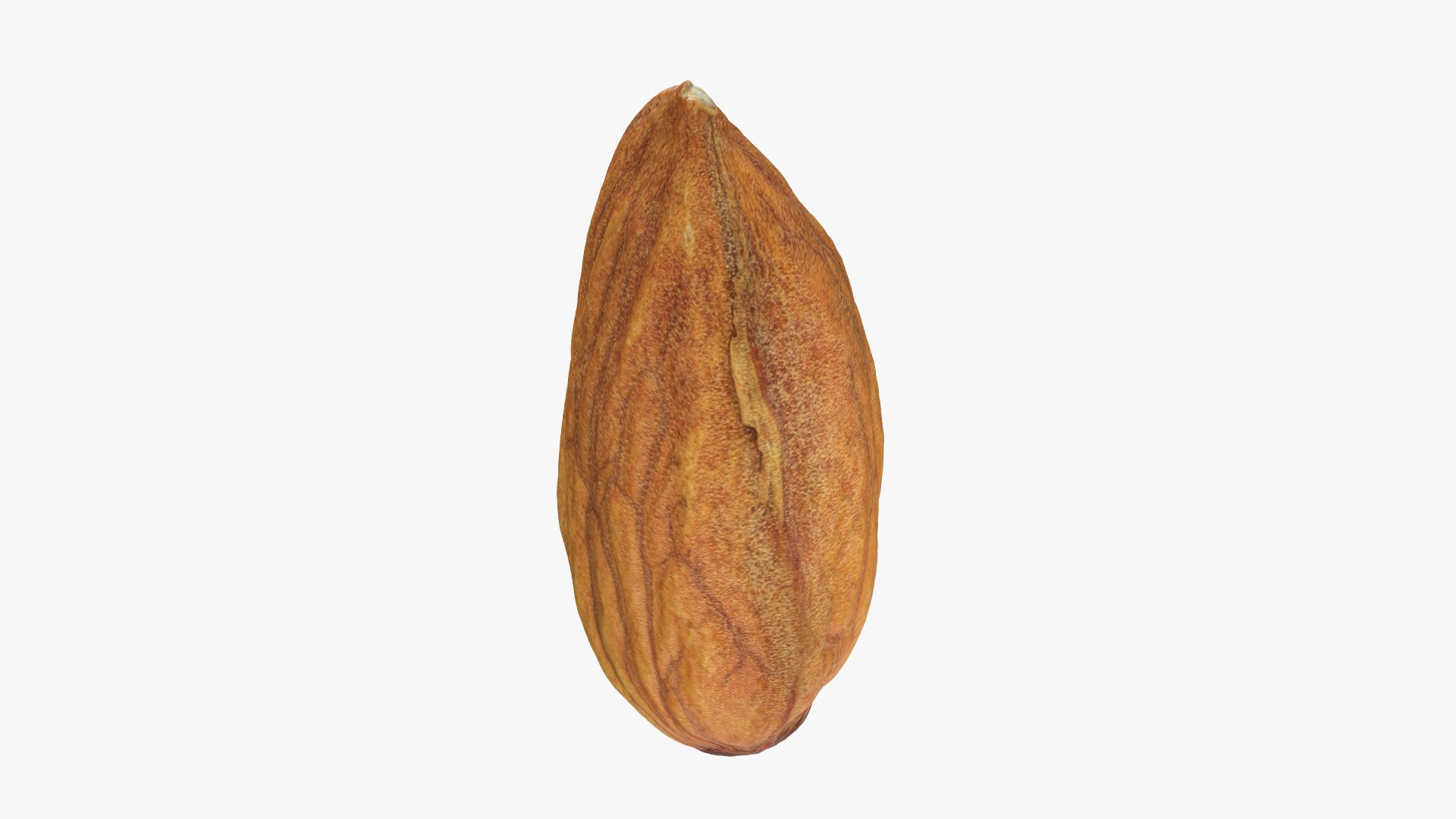 Almond Nut 01 3D https://p.turbosquid.com/ts-thumb/1h/2fkJrt/fb/almond01_0003/png/1758787180/1920x1080/fit_q87/9f75564491fb97a996aefb69576046103a242463/almond01_0003.jpg