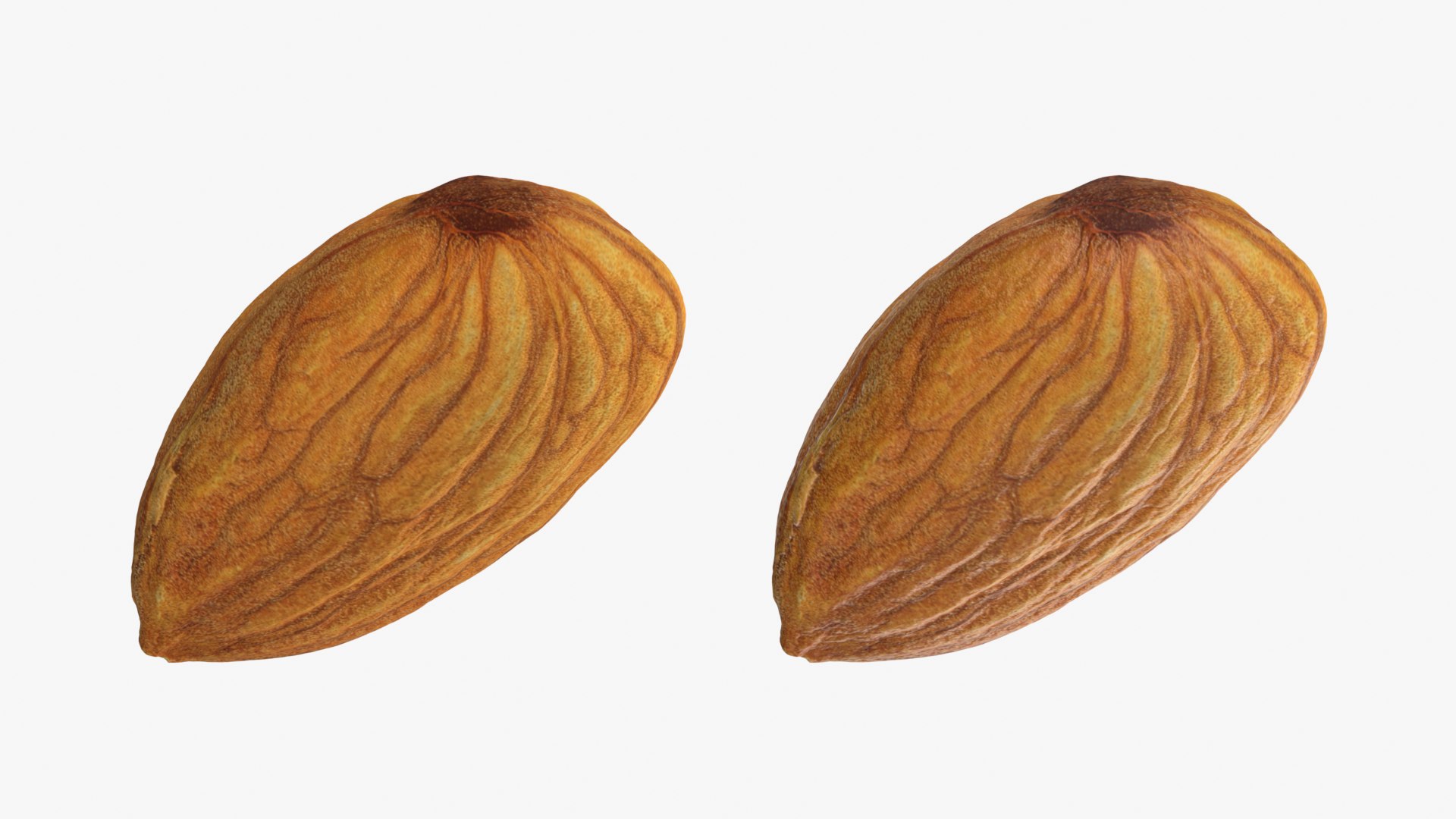 Almond Nut 01 3D https://p.turbosquid.com/ts-thumb/1h/2fkJrt/kZ/almond01_0001b/png/1758787180/1920x1080/fit_q87/793ea31f4d2860a4d9bfe2e2702b1cc66687eaf8/almond01_0001b.jpg