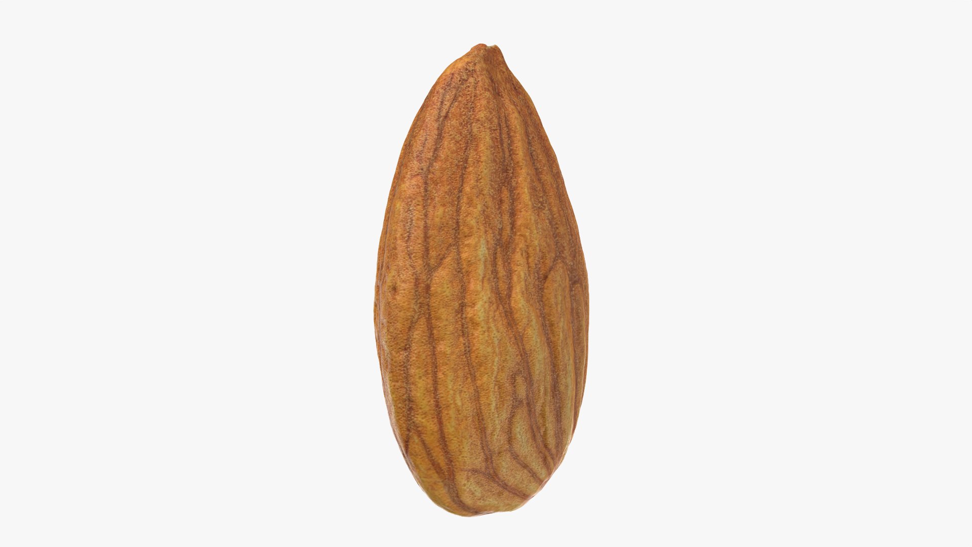 Almond Nut 01 3D https://p.turbosquid.com/ts-thumb/1h/2fkJrt/o5/almond01_0010/png/1758787190/1920x1080/fit_q87/7985bf458f4c39eecfb0a923b00e3d0f54059154/almond01_0010.jpg