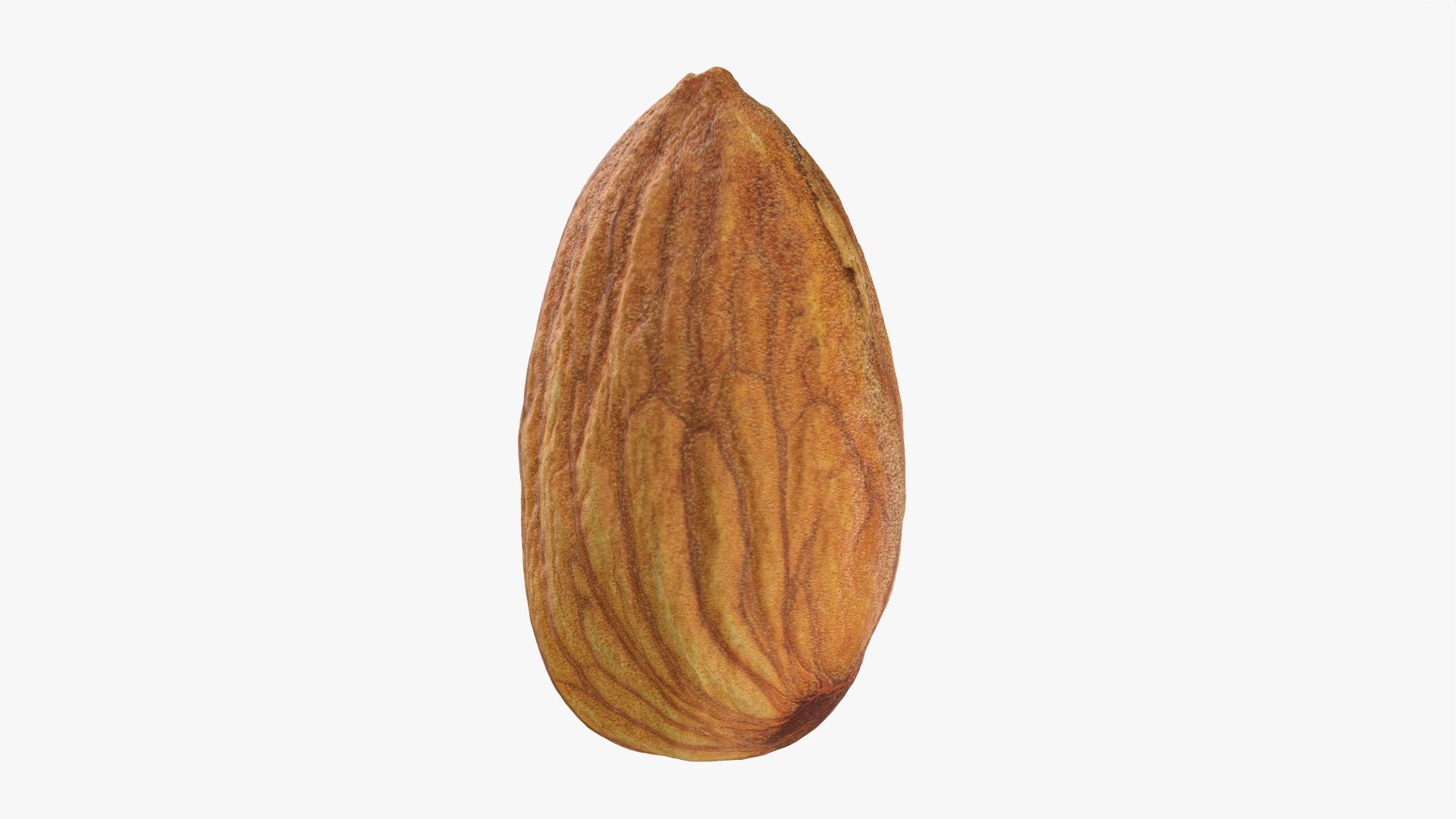 Almond Collection 3D model https://p.turbosquid.com/ts-thumb/1h/2fkJrt/pC/almond01_0001/png/1787392294/1920x1080/fit_q87/4d4a9c968fcfbec3e132783feb7bb7647fe0d551/almond01_0001.jpg