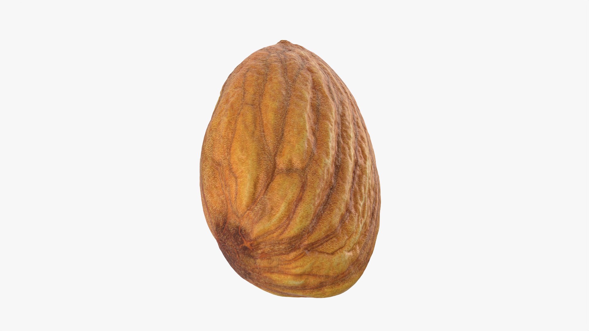 Almond Nut 01 3D https://p.turbosquid.com/ts-thumb/1h/2fkJrt/zK/almond01_0008/png/1758787188/1920x1080/fit_q87/33e67494795f9a2a89a4ff9b0fb1a642680a40fd/almond01_0008.jpg