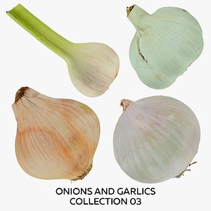 3D Onions and Garlics Collection 03 - 4 models RAW Scans