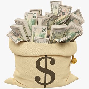 3D Money Bag V10