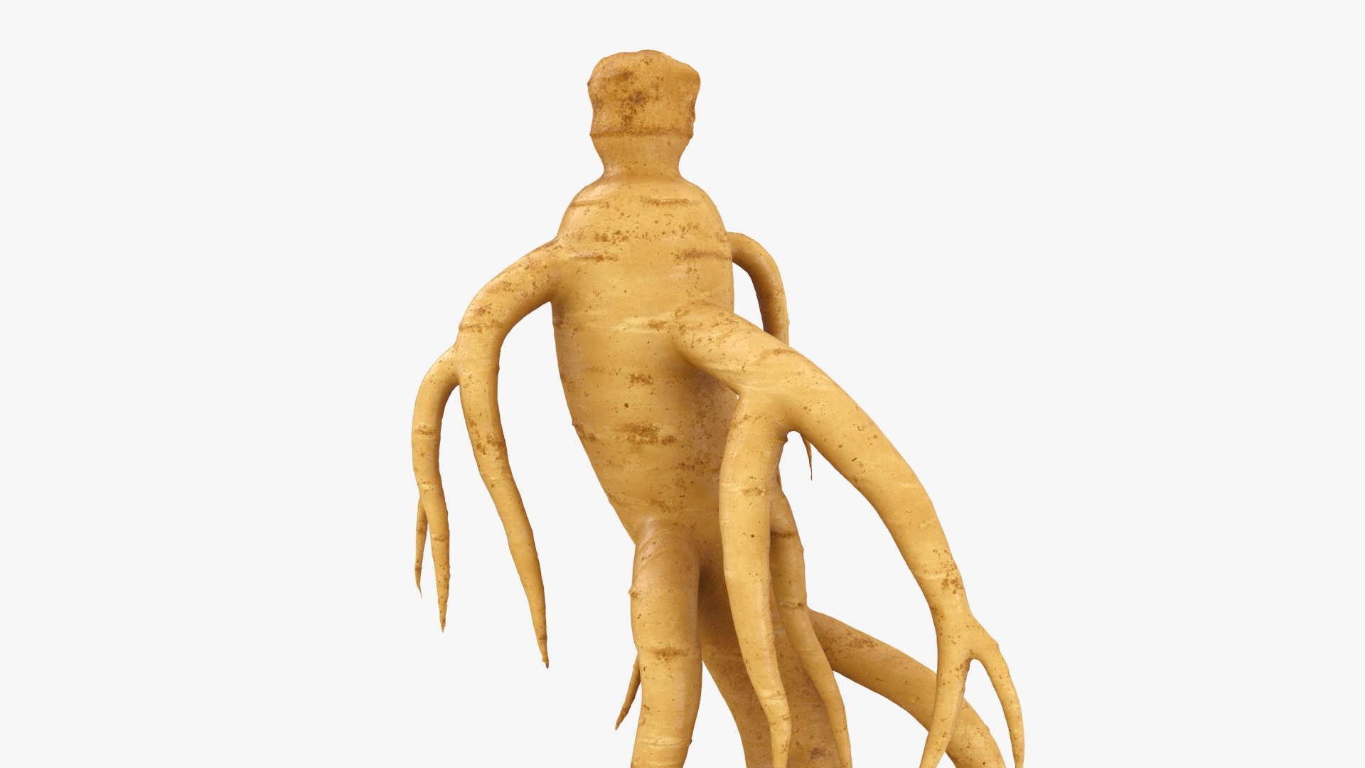 3D Ginseng 03 model https://p.turbosquid.com/ts-thumb/1h/BTVu4H/U8/ginseng03_b0016/jpg/1723884982/1920x1080/fit_q87/dab3d6f65c9e2e114ec4785f60093bdc4c70d868/ginseng03_b0016.jpg