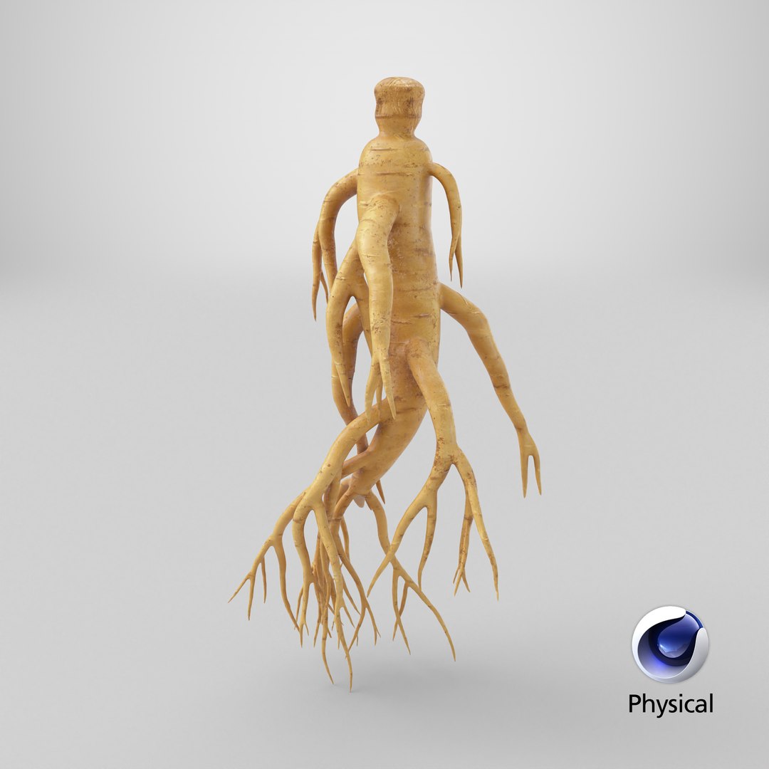 3D Ginseng 03 model https://p.turbosquid.com/ts-thumb/1h/BTVu4H/Vs/stemcell_cinema_4d_physical_render/png/1725455709/1920x1080/fit_q87/34899f53ec2dacf8721f410d8a6d2dd680c86d43/stemcell_cinema_4d_physical_render.jpg
