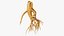 Ginseng 03