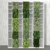 Bookshelf with vertical garden