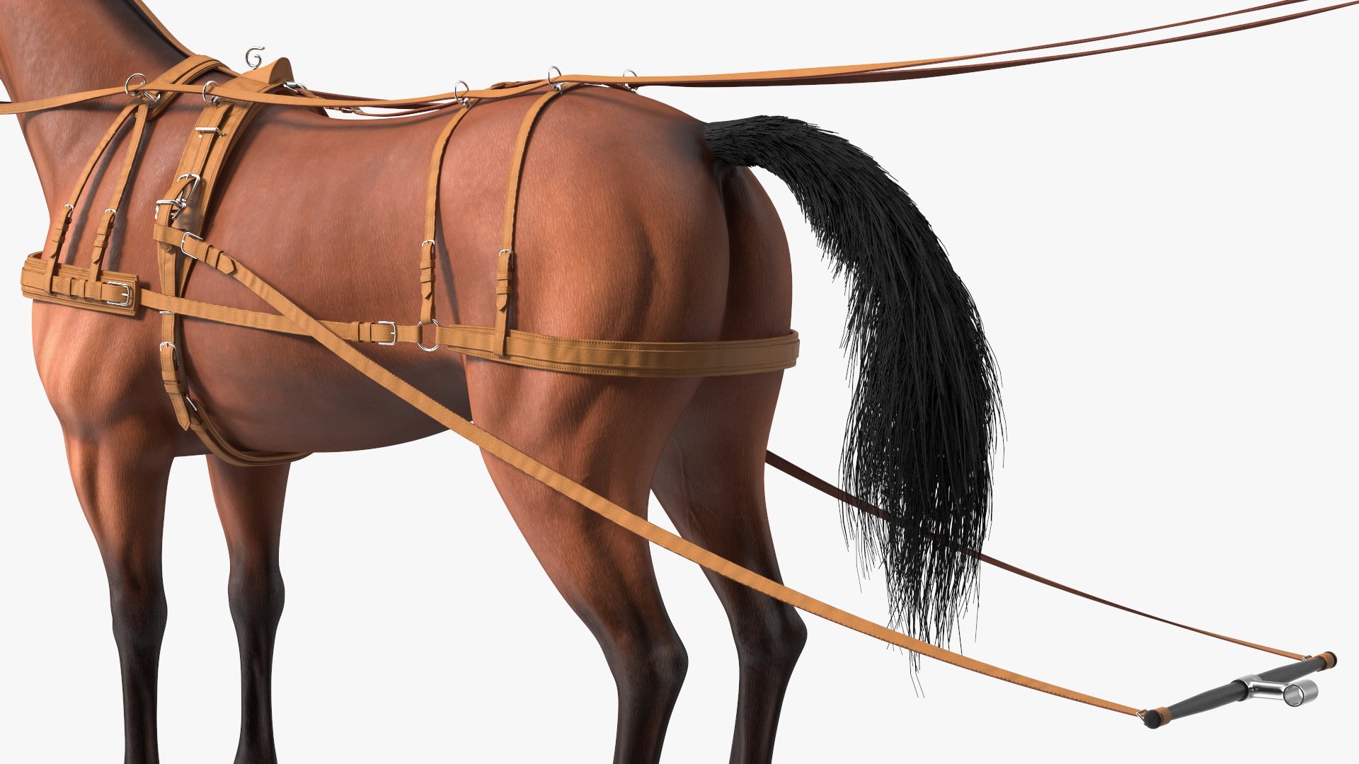 Horse Leather Single Driving Harness 3D model https://p.turbosquid.com/ts-thumb/1h/Ditqwp/Ce/horse_leather_single_driving_harness_009/jpg/1740728022/1920x1080/fit_q87/f2539e52a86b98f02a8c8a54c371f94569ce9dd2/horse_leather_single_driving_harness_009.jpg