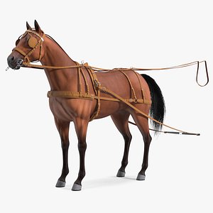 Horse Leather Single Driving Harness