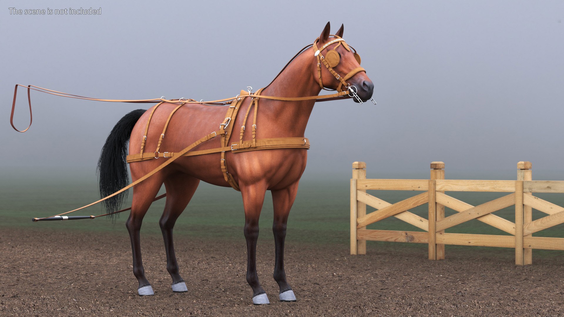 Horse Leather Single Driving Harness 3D model https://p.turbosquid.com/ts-thumb/1h/Ditqwp/if/horse_leather_single_driving_harness_003/jpg/1740727999/1920x1080/fit_q87/f4215cfb0c1092fa731412d6dfec512c0a84ebdc/horse_leather_single_driving_harness_003.jpg