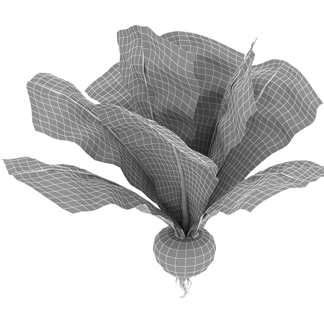 turnip vegetable modeled 3d max