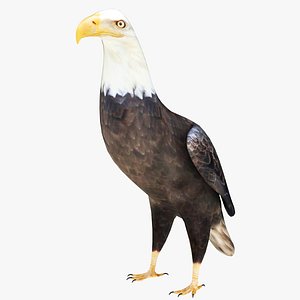 3D Eagle model
