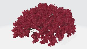 3D Red plant model