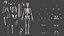 Full Female Anatomy Maya Rigged