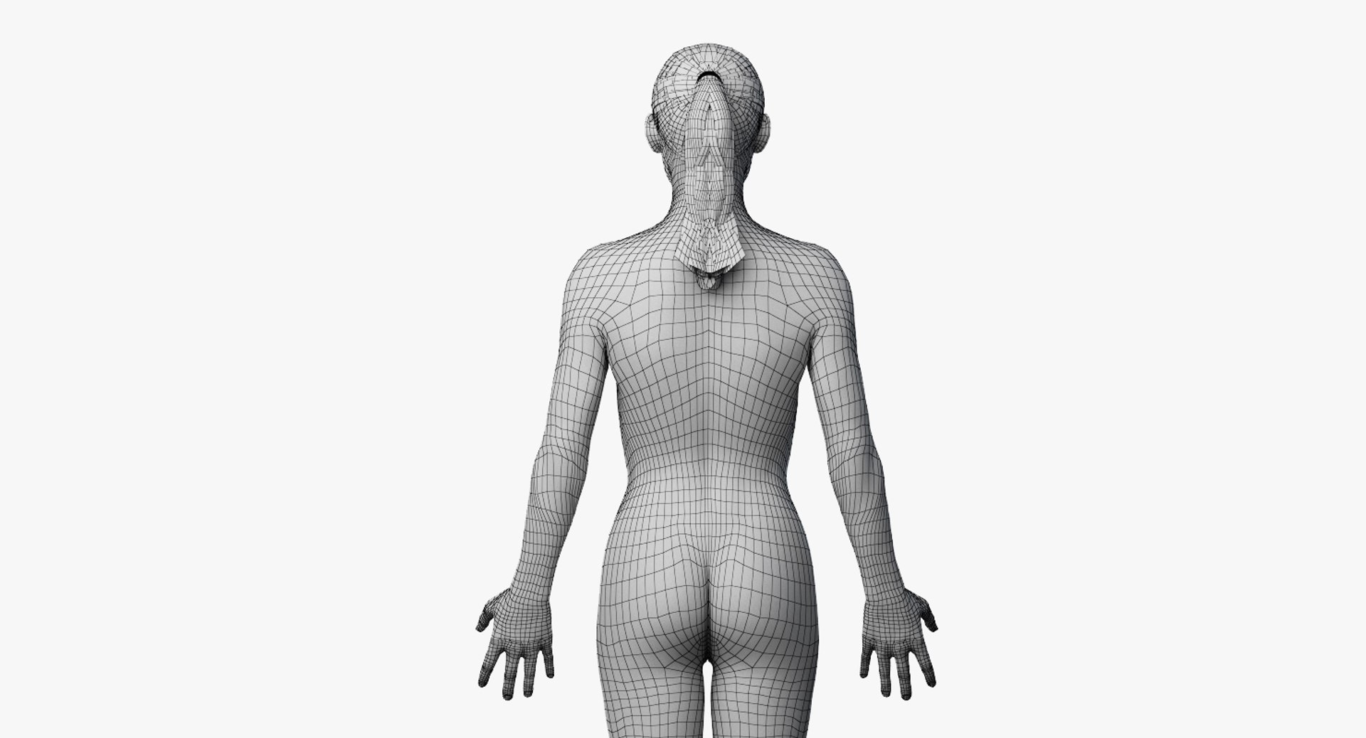 3D female anatomy rigged https://p.turbosquid.com/ts-thumb/1h/tDECy7/7Ue1mQaj/2019_female_wire_body0004/jpg/1576092800/1920x1080/fit_q87/683124da350fc61ec357652f35294e50ba49999e/2019_female_wire_body0004.jpg