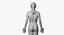 Full Female Anatomy Maya Rigged