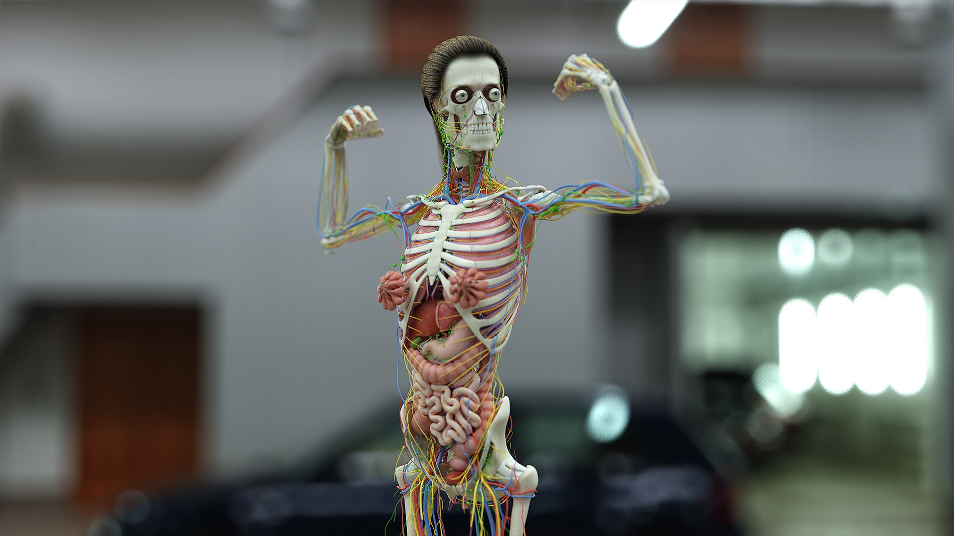 3D female anatomy rigged https://p.turbosquid.com/ts-thumb/1h/tDECy7/H3g8P4hj/fem_02_d/jpg/1600779297/1920x1080/fit_q87/b1d762433327426f431c0198313ea8ca3efe5595/fem_02_d.jpg