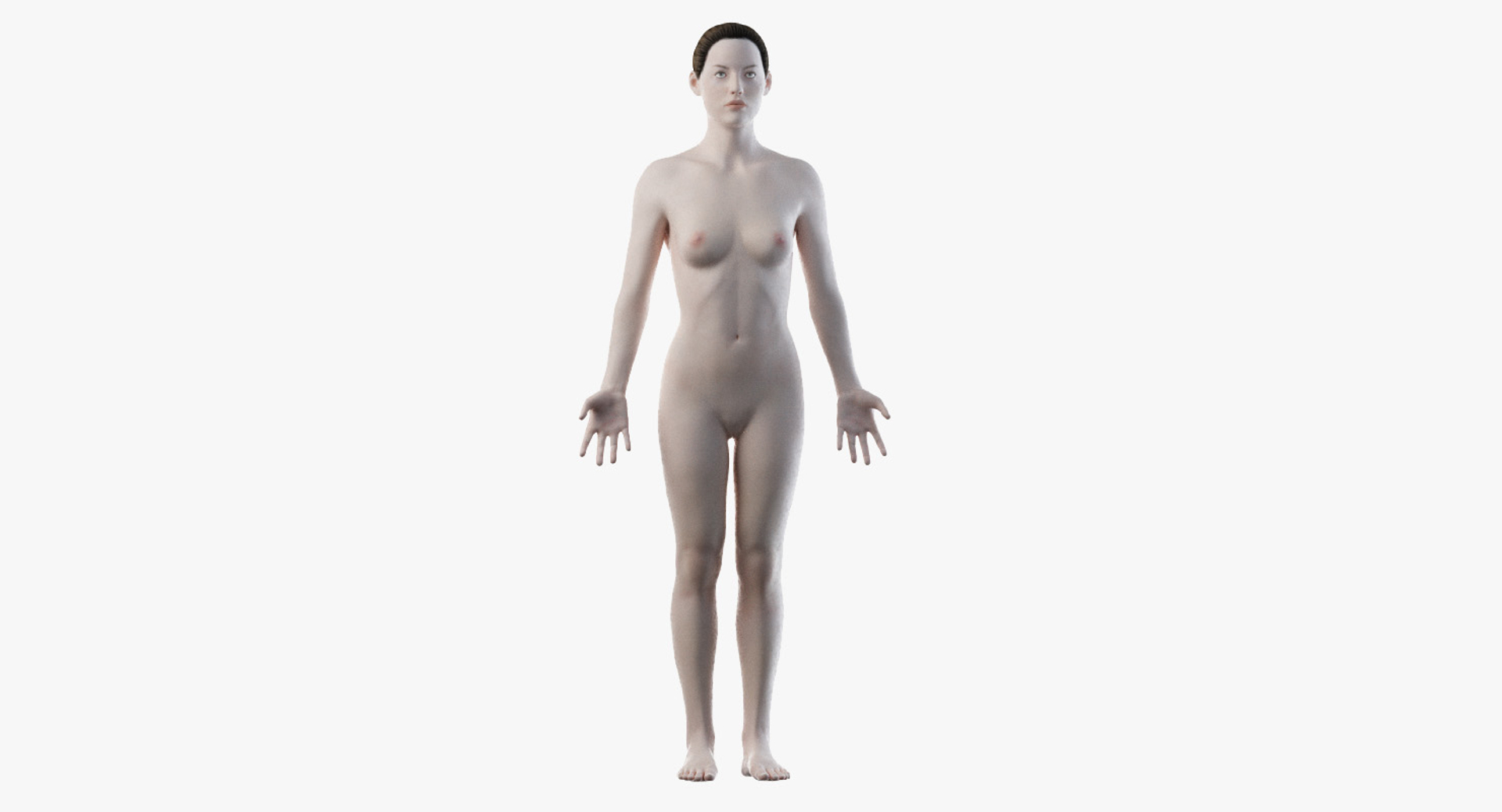 3D female anatomy rigged https://p.turbosquid.com/ts-thumb/1h/tDECy7/Ieky2SrE/2019_female_turntable_body/jpg/1576091467/1920x1080/turn_fit_q99/0c55a39800bebba94b27aeed3c87b8ab3db45a05/2019_female_turntable_body-1.jpg