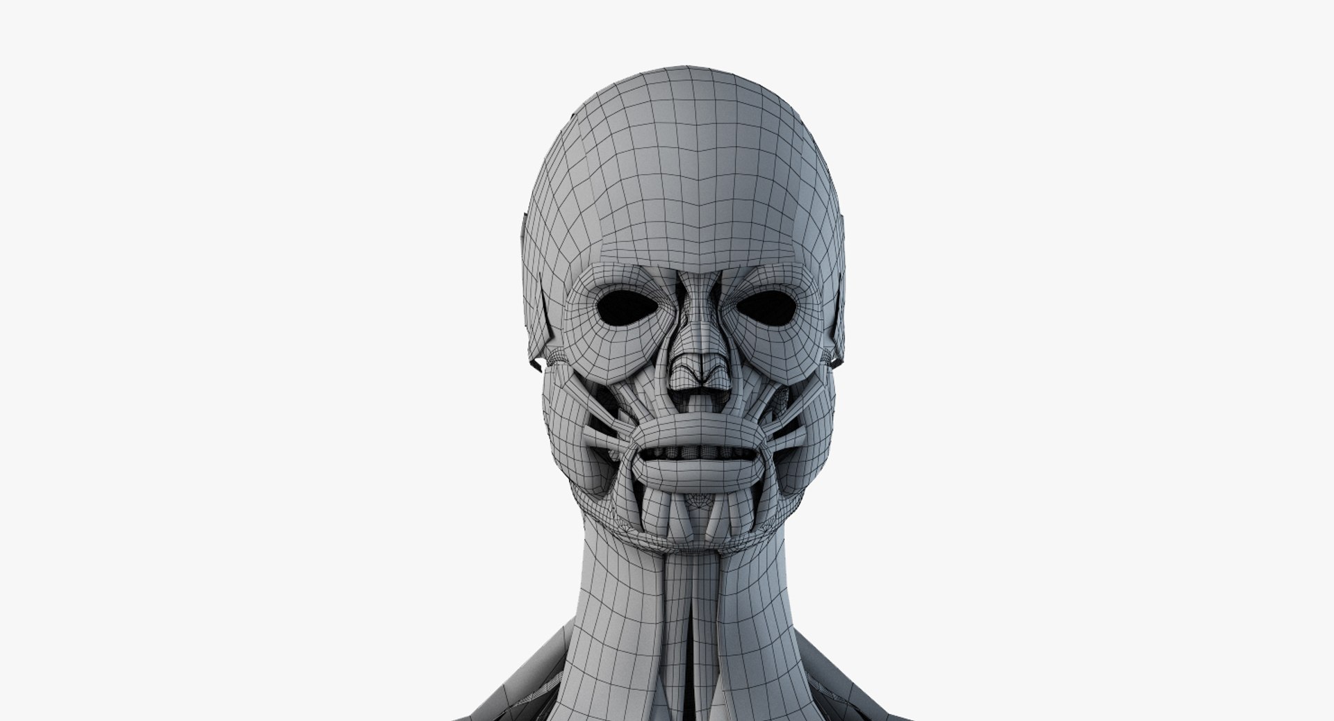 3D female anatomy rigged https://p.turbosquid.com/ts-thumb/1h/tDECy7/cs4eLW4K/2019_female_wire_anatomy_skel_muscles0003/jpg/1576092863/1920x1080/fit_q87/972a3503451407f706e64d64079ec52bf915afc5/2019_female_wire_anatomy_skel_muscles0003.jpg