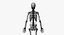 Full Female Anatomy Maya Rigged