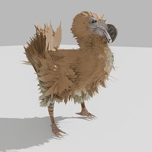RIGGED dodo made in blender for evee
