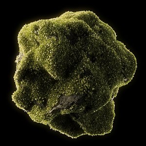 Moss Low Poly 1