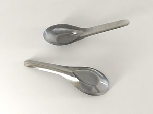 spoon chinese model