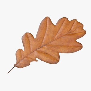 yellow oak leaf 3d model