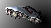 Soccer Shoe