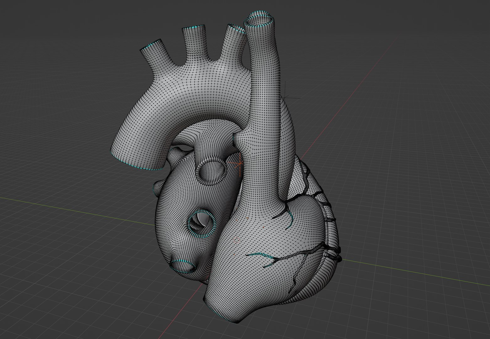 3D Human Heart Anatomy - Animated - TurboSquid 2221125