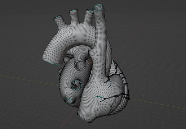인간의 심장 해부학 - 애니메이션 3D 모델 - TurboSquid 2221125