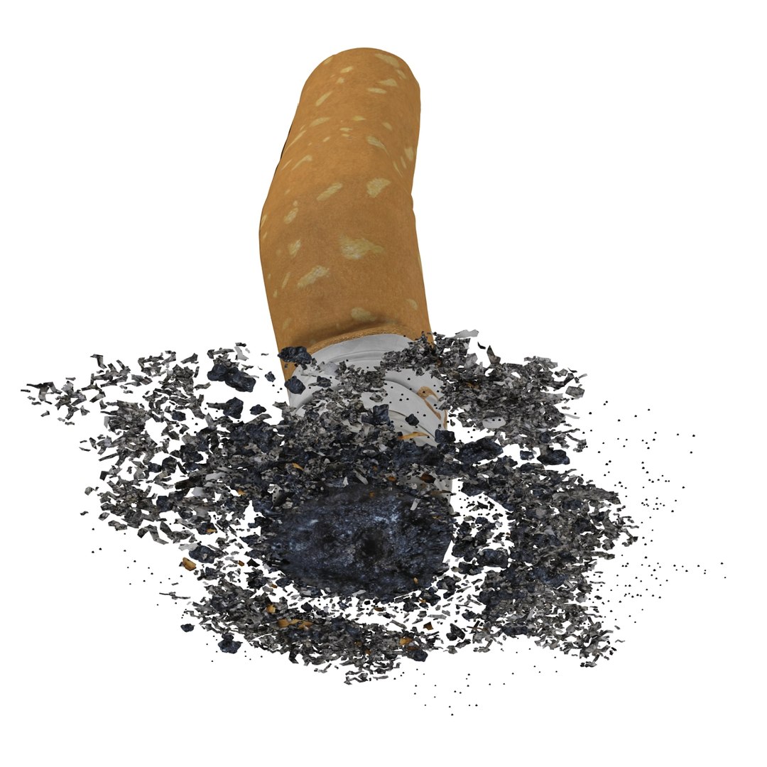 snuffed cigarette camel c4d https://p.turbosquid.com/ts-thumb/1i/Q5gqgr/N6due4bw/snuffedcigarettecamel3dmodel10/jpg/1443068749/1920x1080/fit_q87/7314a970905e40f452a2c8f4503219b10a129e23/snuffedcigarettecamel3dmodel10.jpg