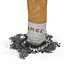 Snuffed Cigarette Camel