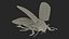 Aquatic Beetle Black Realistic Flying 3D model