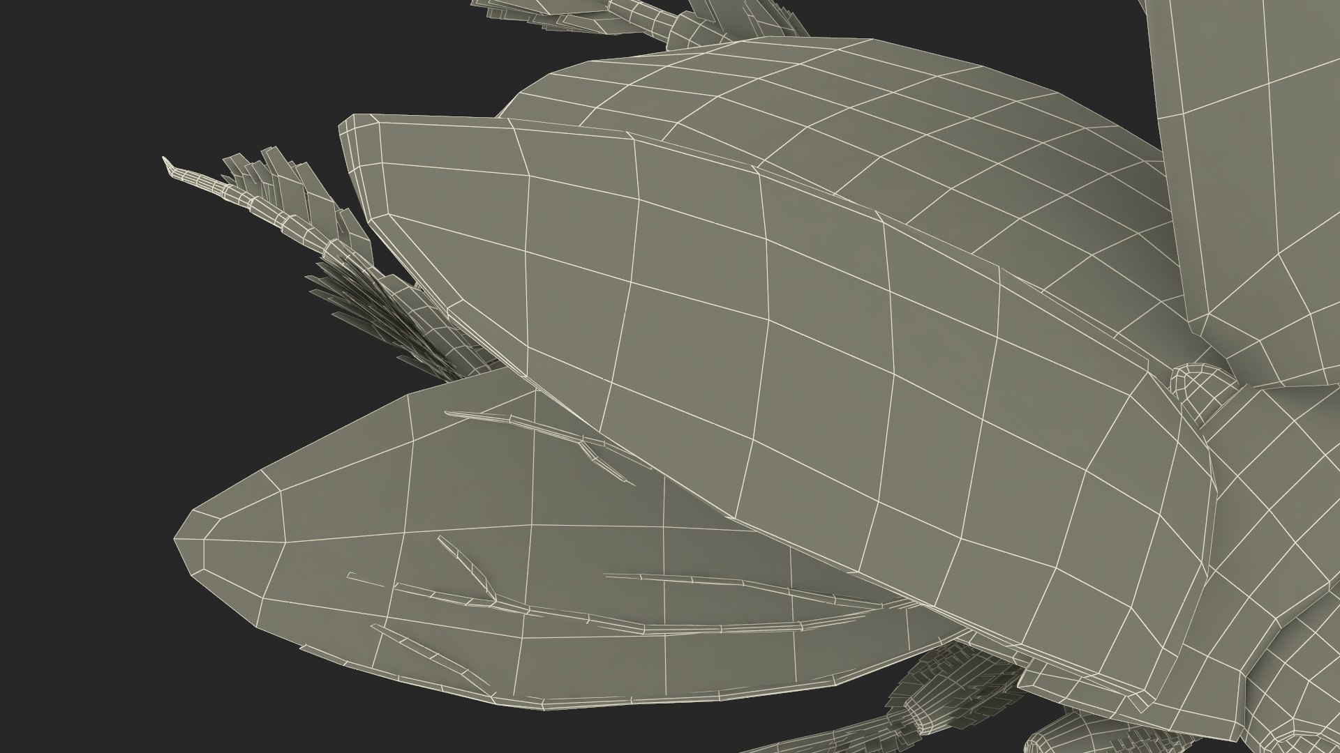 Aquatic Beetle Black Realistic Flying 3D model https://p.turbosquid.com/ts-thumb/1i/R3o249/CP/aquaticbeetleblackrealisticflyingvray3dmodel038/jpg/1718288853/1920x1080/fit_q87/c8a231e809bff8d0b08e23ae38c702225bef124d/aquaticbeetleblackrealisticflyingvray3dmodel038.jpg