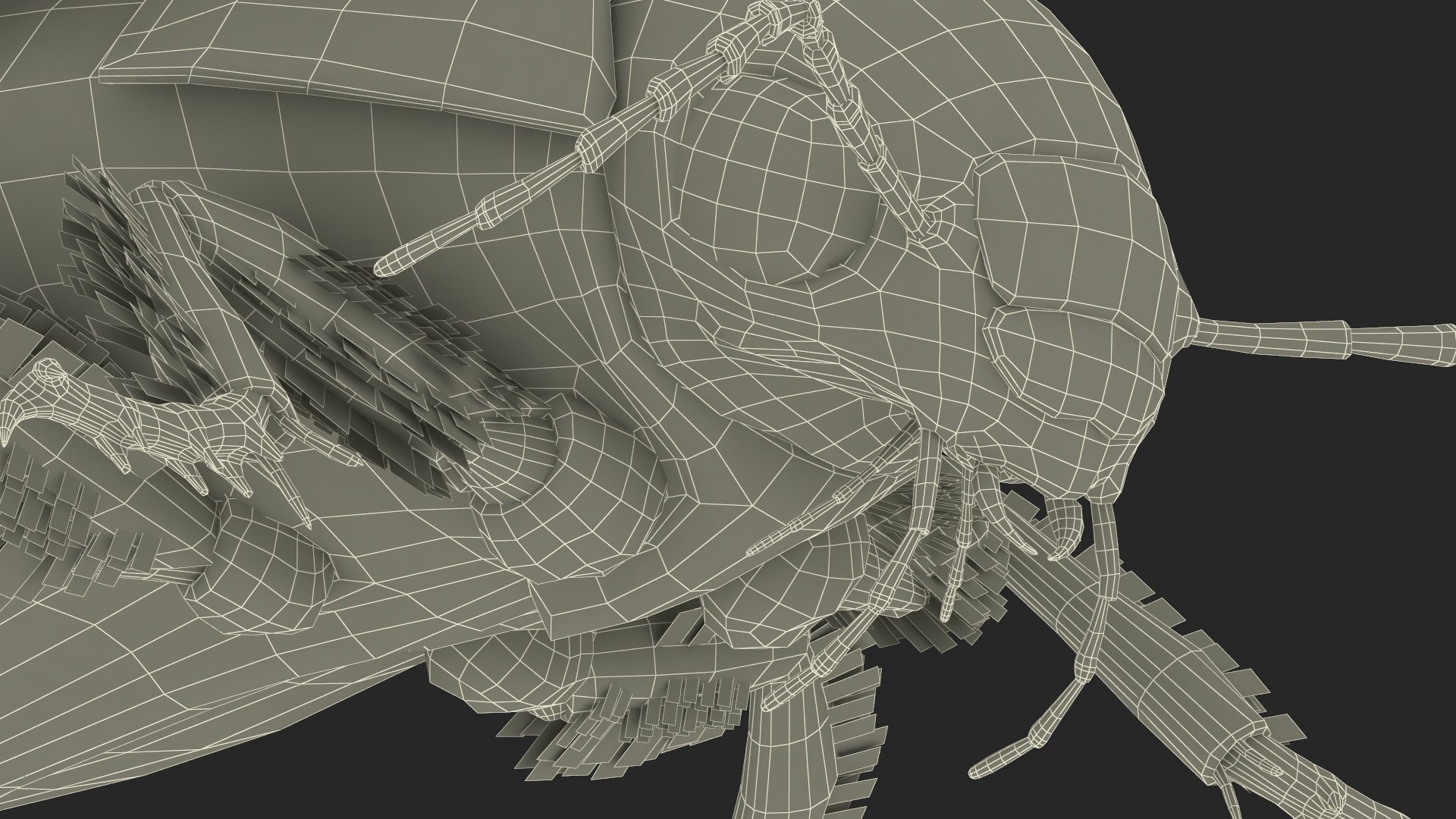 Aquatic Beetle Black Realistic Flying 3D model https://p.turbosquid.com/ts-thumb/1i/R3o249/DO/aquaticbeetleblackrealisticflyingvray3dmodel041/jpg/1718288863/1920x1080/fit_q87/677a0021288cbfa1627f77d38b1cd7b39ddfa8ae/aquaticbeetleblackrealisticflyingvray3dmodel041.jpg