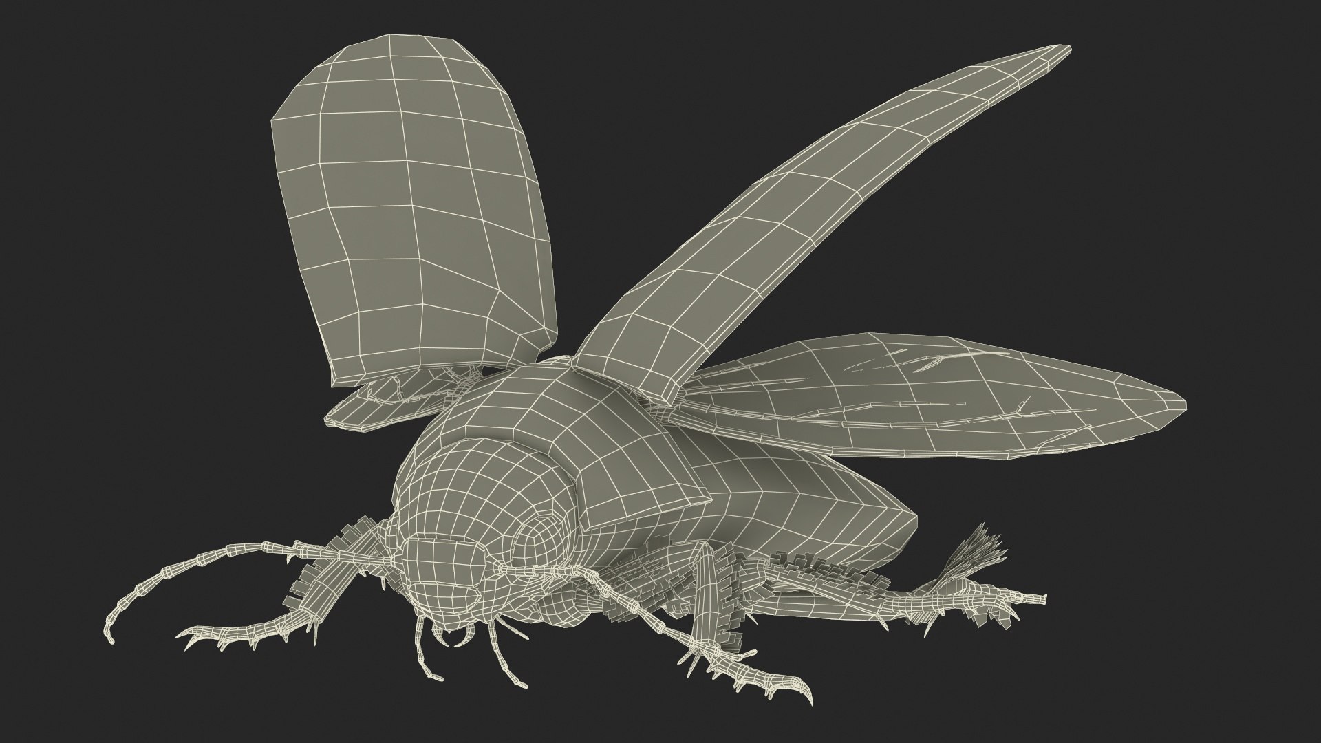Aquatic Beetle Black Realistic Flying 3D model https://p.turbosquid.com/ts-thumb/1i/R3o249/FR/aquaticbeetleblackrealisticflyingvray3dmodel033/jpg/1718288837/1920x1080/fit_q87/a9c8fd7556cfda080152ae7c8d72f7993a3fbb36/aquaticbeetleblackrealisticflyingvray3dmodel033.jpg