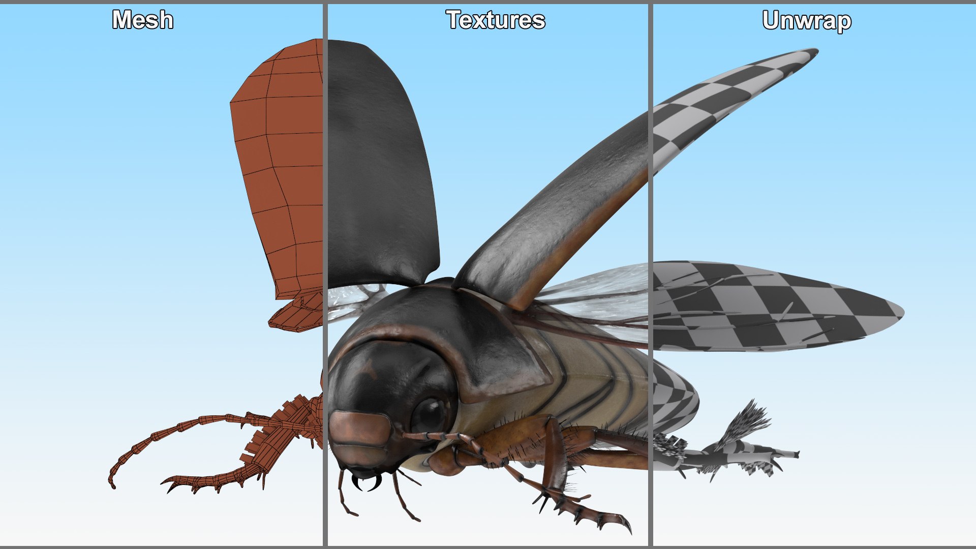 Aquatic Beetle Black Realistic Flying 3D model https://p.turbosquid.com/ts-thumb/1i/R3o249/FT/aquaticbeetleblackrealisticflyingvray3dmodel022/jpg/1718288794/1920x1080/fit_q87/f611bf3091abbb7379eb3f195a0a966c09e96f5d/aquaticbeetleblackrealisticflyingvray3dmodel022.jpg