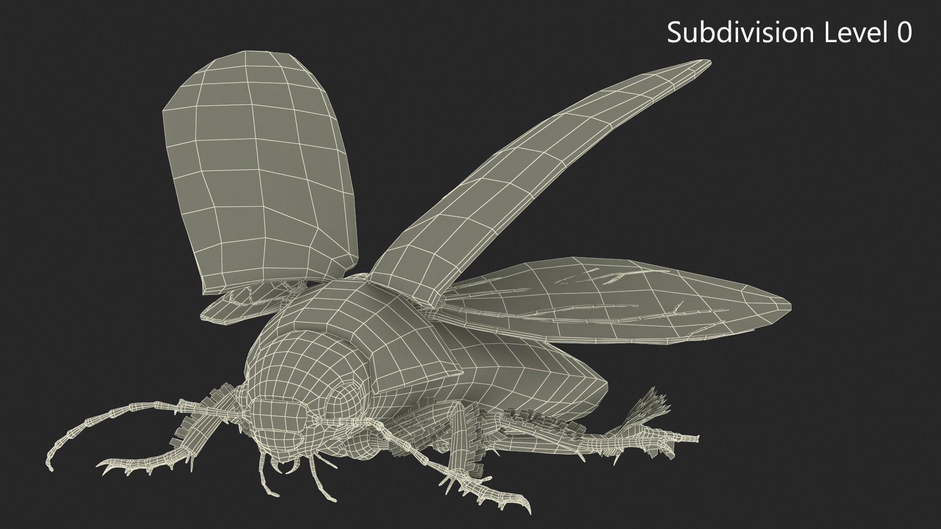 Aquatic Beetle Black Realistic Flying 3D model https://p.turbosquid.com/ts-thumb/1i/R3o249/HR/aquaticbeetleblackrealisticflyingvray3dmodel023/jpg/1718288798/1920x1080/fit_q87/e4ac863e0c8152c8c17200cd921036102cce0408/aquaticbeetleblackrealisticflyingvray3dmodel023.jpg