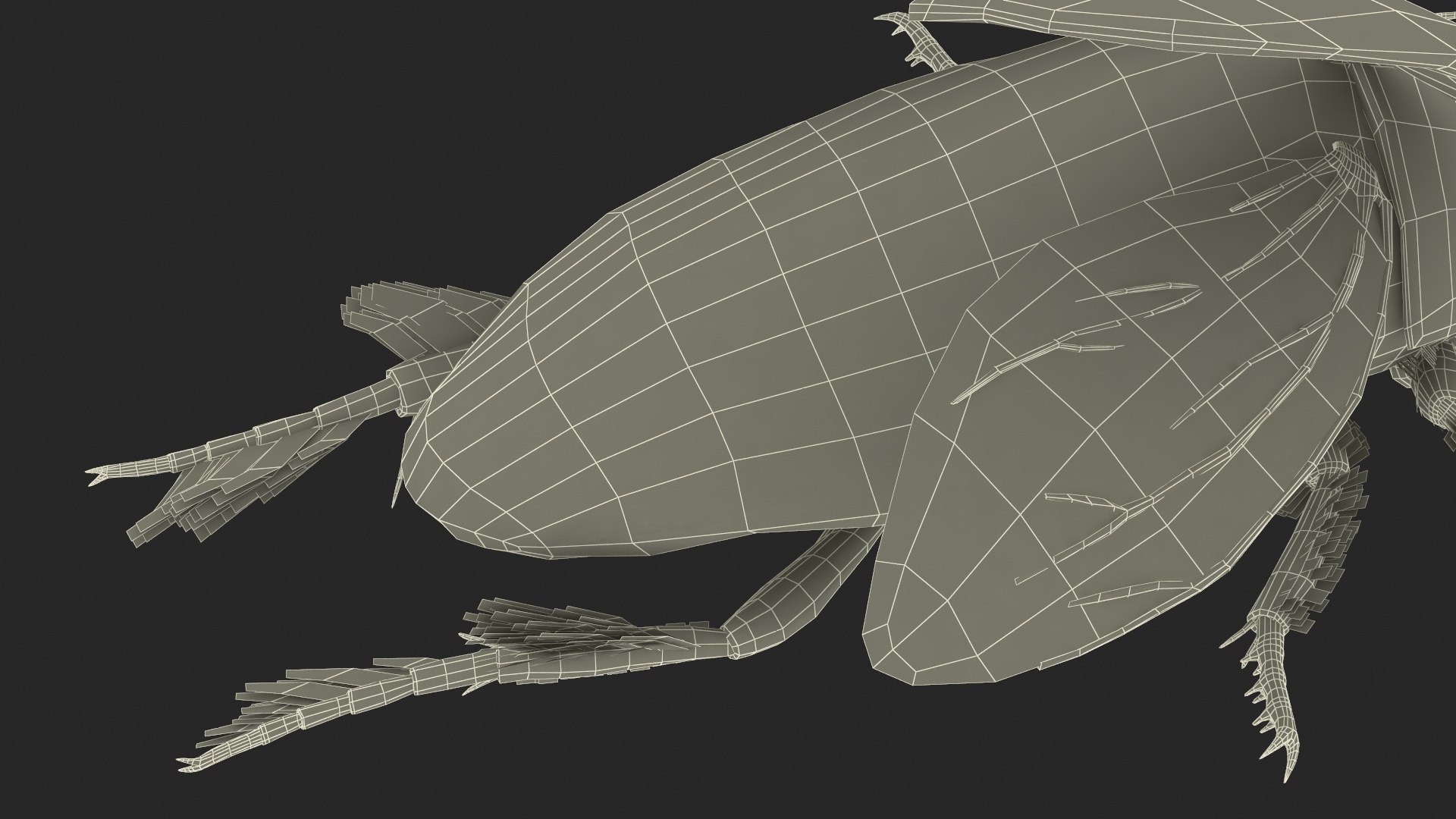 Aquatic Beetle Black Realistic Flying 3D model https://p.turbosquid.com/ts-thumb/1i/R3o249/Sp/aquaticbeetleblackrealisticflyingvray3dmodel039/jpg/1718288856/1920x1080/fit_q87/61443fd23570c6cd6ee7c6a6e6569a4f5f25ffd9/aquaticbeetleblackrealisticflyingvray3dmodel039.jpg