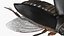 Aquatic Beetle Black Realistic Flying 3D model
