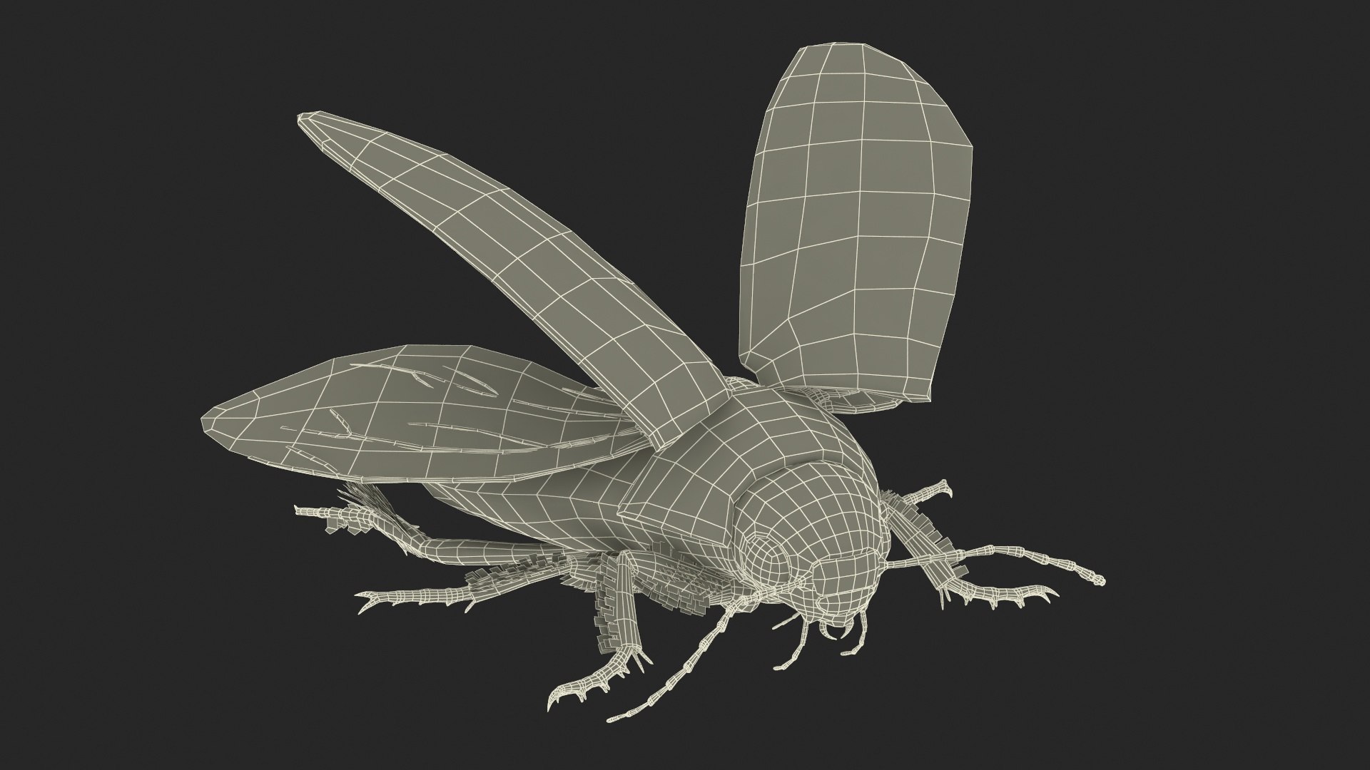 Aquatic Beetle Black Realistic Flying 3D model https://p.turbosquid.com/ts-thumb/1i/R3o249/ZS/aquaticbeetleblackrealisticflyingvray3dmodel032/jpg/1718288834/1920x1080/fit_q87/8458697e6fb06e0600753168b077fdbb32865c6d/aquaticbeetleblackrealisticflyingvray3dmodel032.jpg